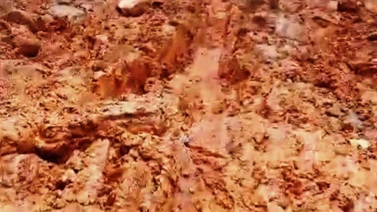 Lack of road costs another life in Idukki’s tribal settlement