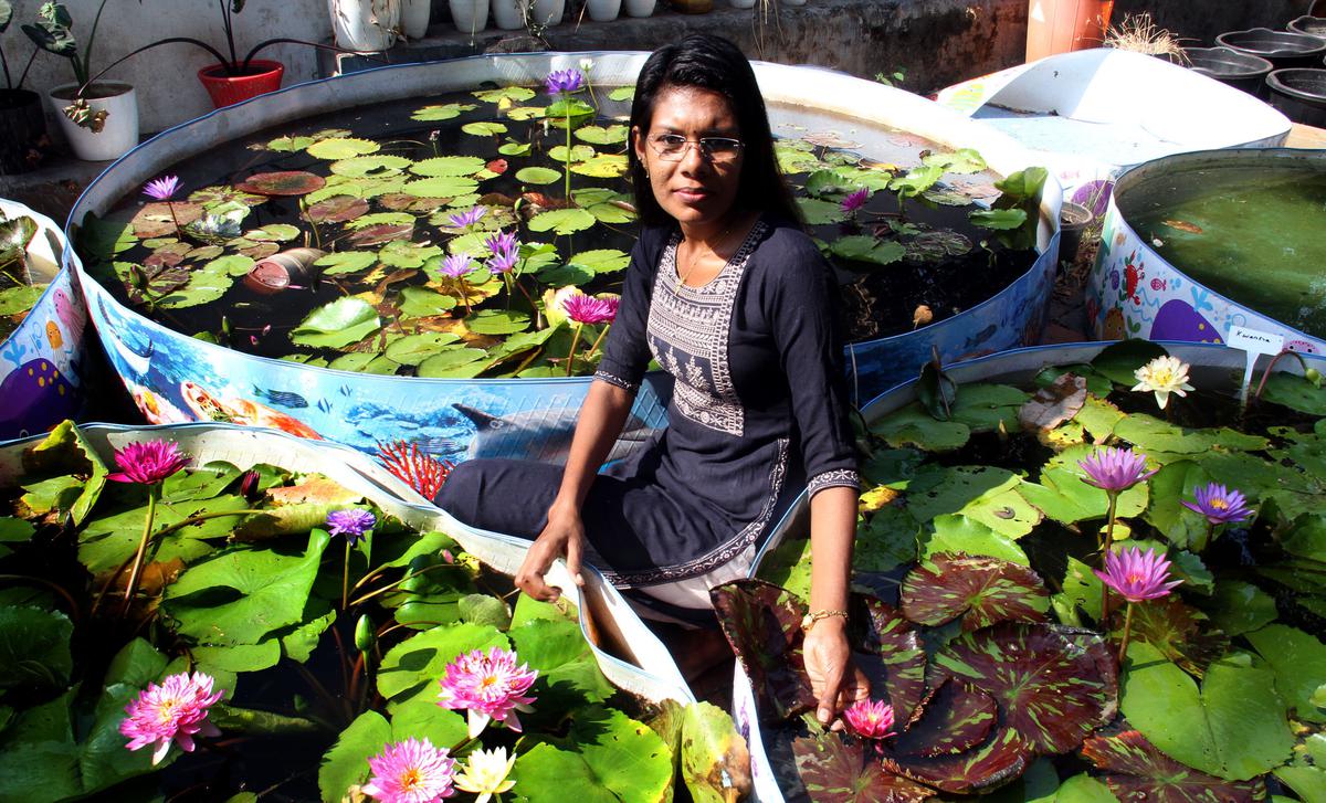 Viji Abi with some of her waterlilies at her home in Ollur, Thrissur