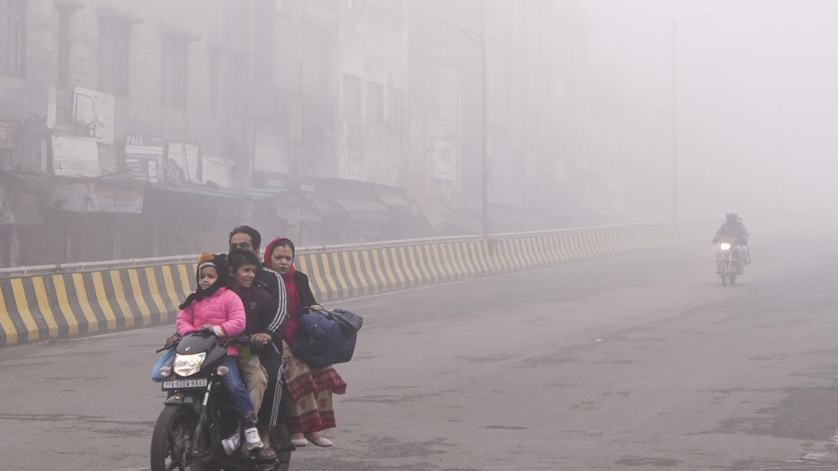 Dense fog at many places in Punjab, Haryana; no respite from cold conditions