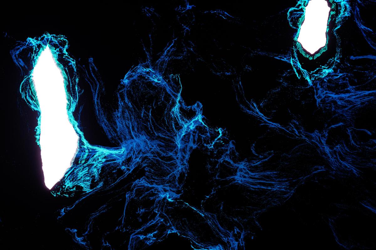 Exposições e artistas no Sexto Sentido