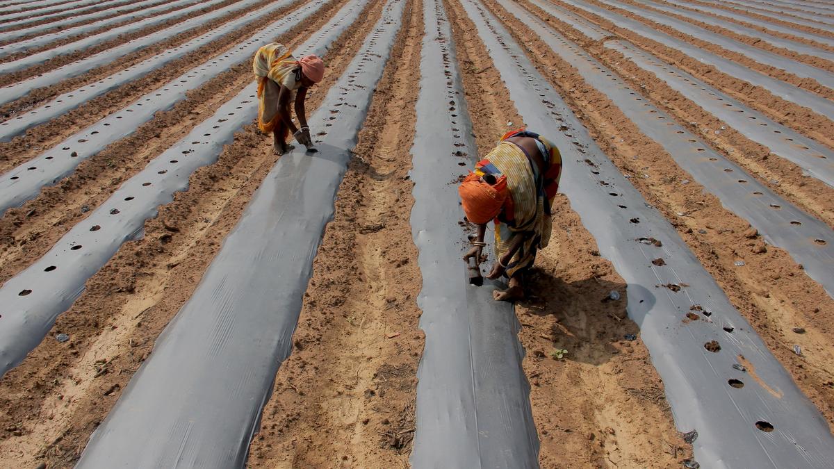 Ahead of polls, Odisha Congress promises monthly pension for farmers, women and unemployed youth