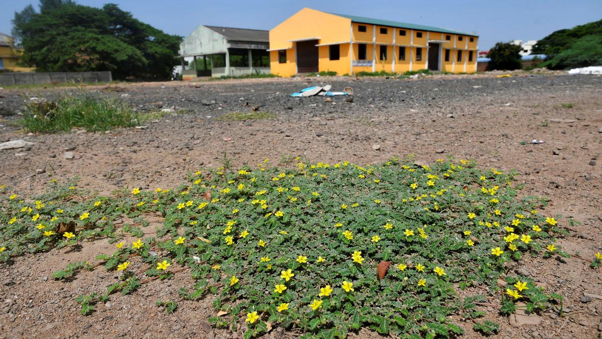 Puducherry L-G clears proposal for construction of new Assembly complex