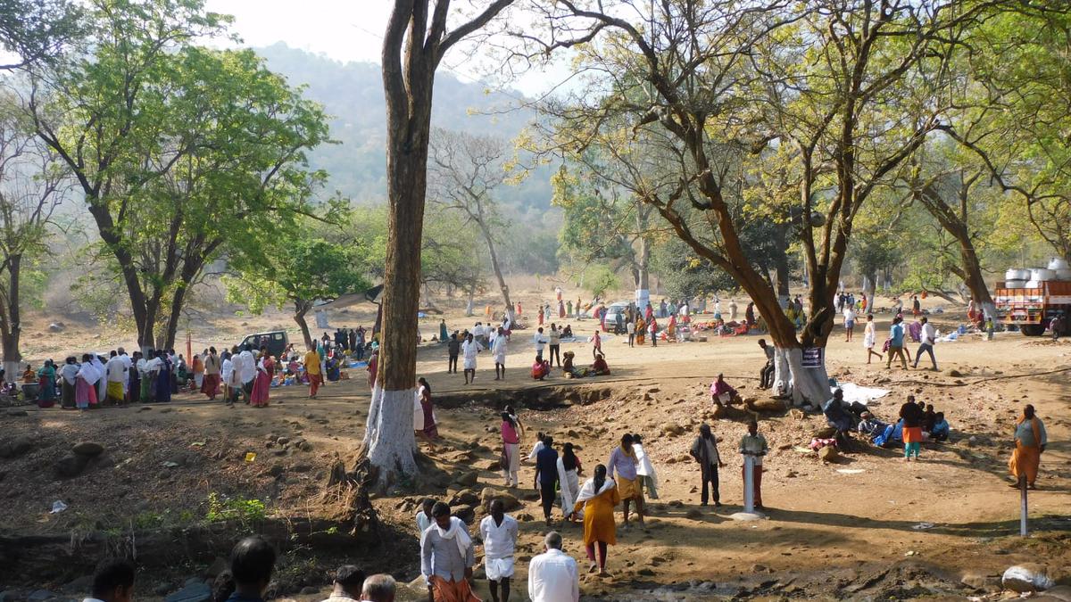 Open defecation in Mudumalai’s rivers during temple festivals poses a risk to wildlife: conservationists