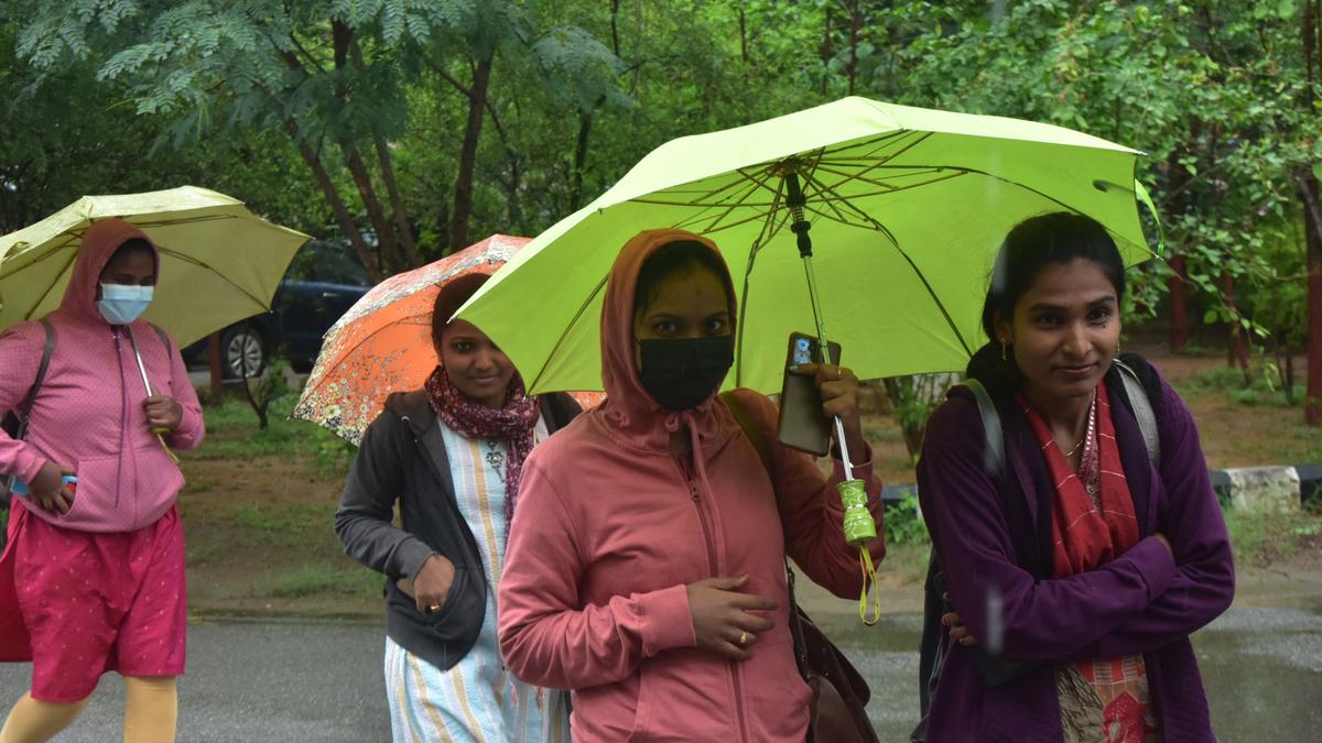 IMD forecasts rain in a few places in Telangana on July 30