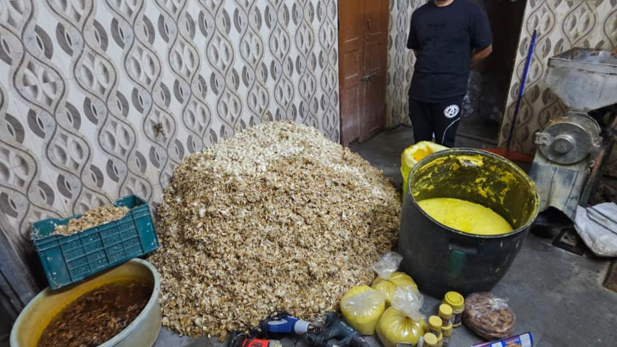 Man held for manufacturing adulterated ginger-garlic paste in unhygienic conditions in Borabanda