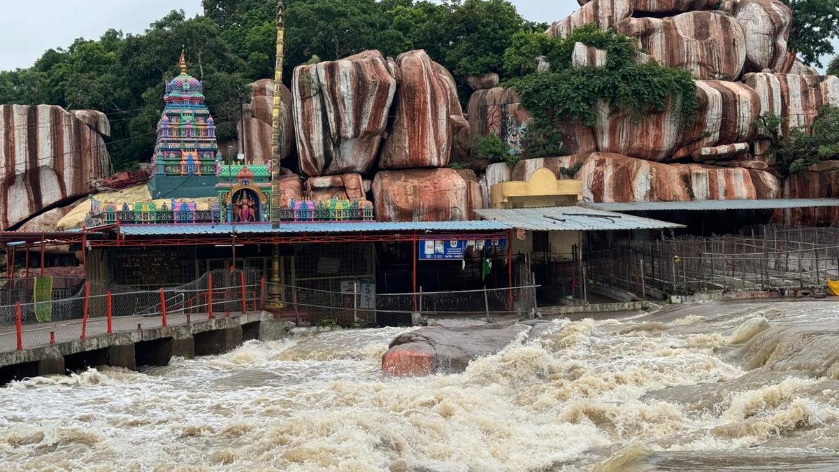 In Pictures | Rains wreak havoc on Telangana