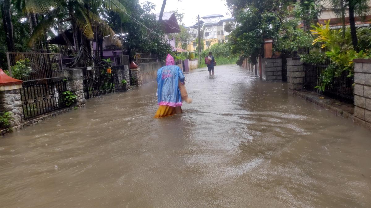 Rain subsides, but many areas remain inundated in Thrissur