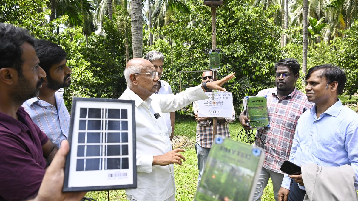 In novel initiative, coconut farmers in Pollachi deploy climate sensors to explore alternative crops