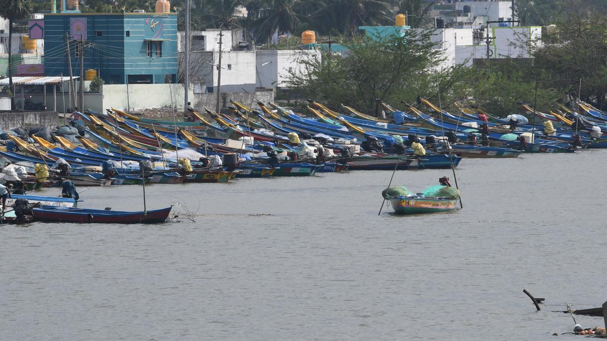 Fishermen find tar balls on Pulicat beaches