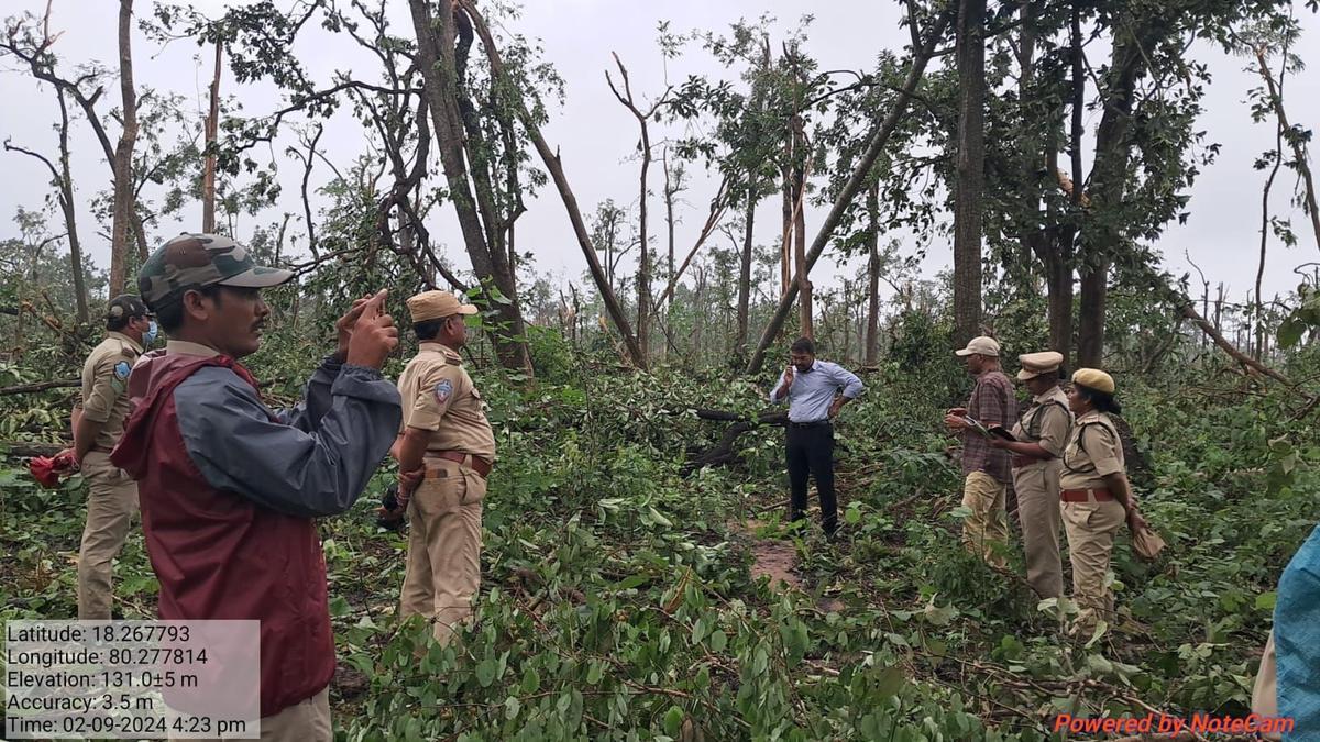 Collapse of thousands of trees in Eturunagaram wildlife sanctuary puzzles officials