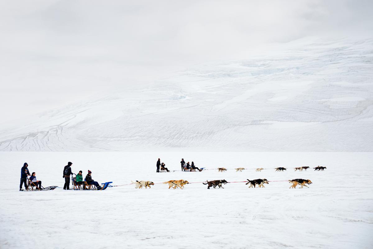 Dog sledding at Juneau, Alaska. Luxury ships offer a plethora of activities on aboard the ship and during the cruise.