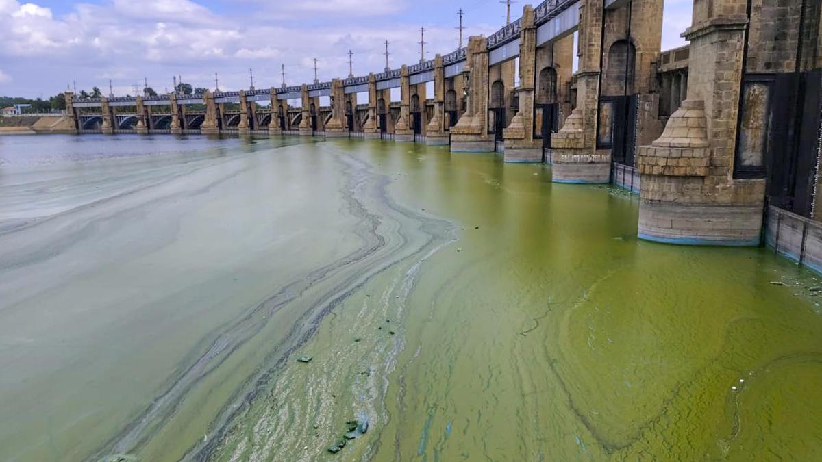Water level in Mettur dam stands at 116 feet