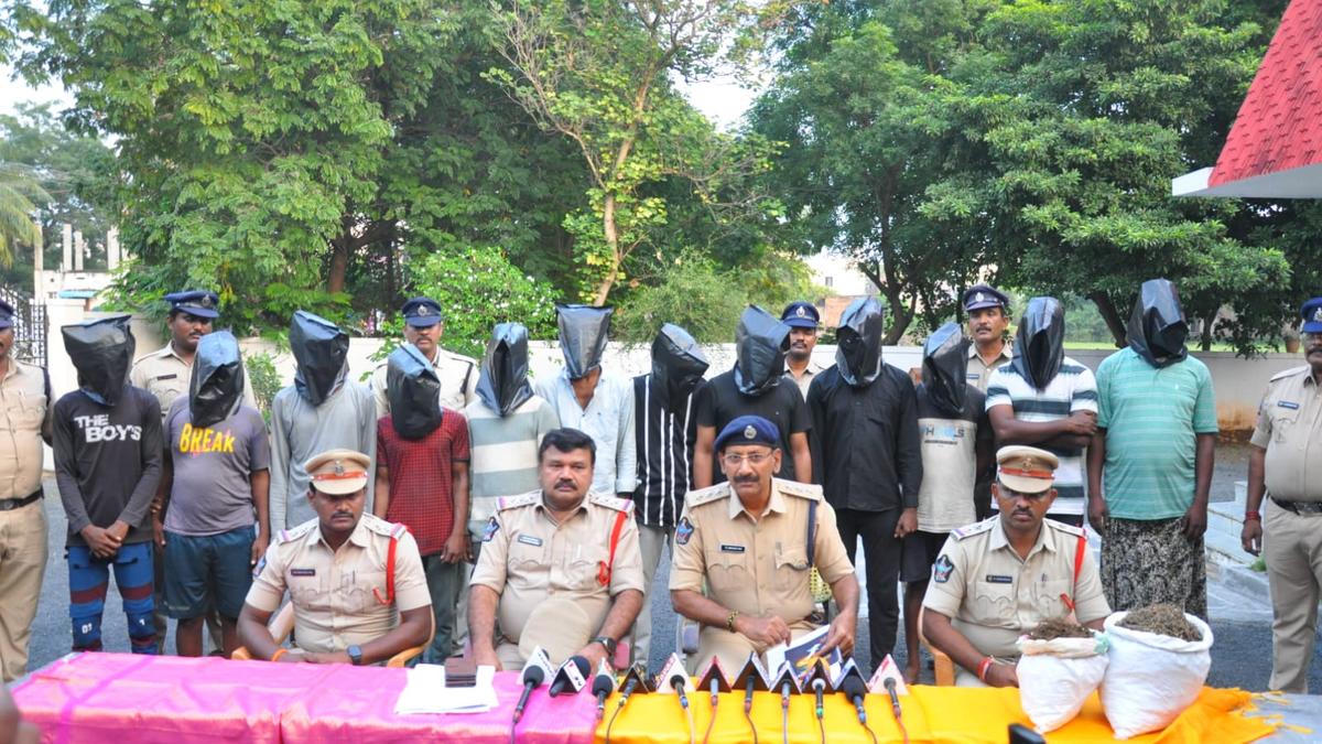 Ongole police arrest 12 drug peddlers, seize 4 kg of ganja