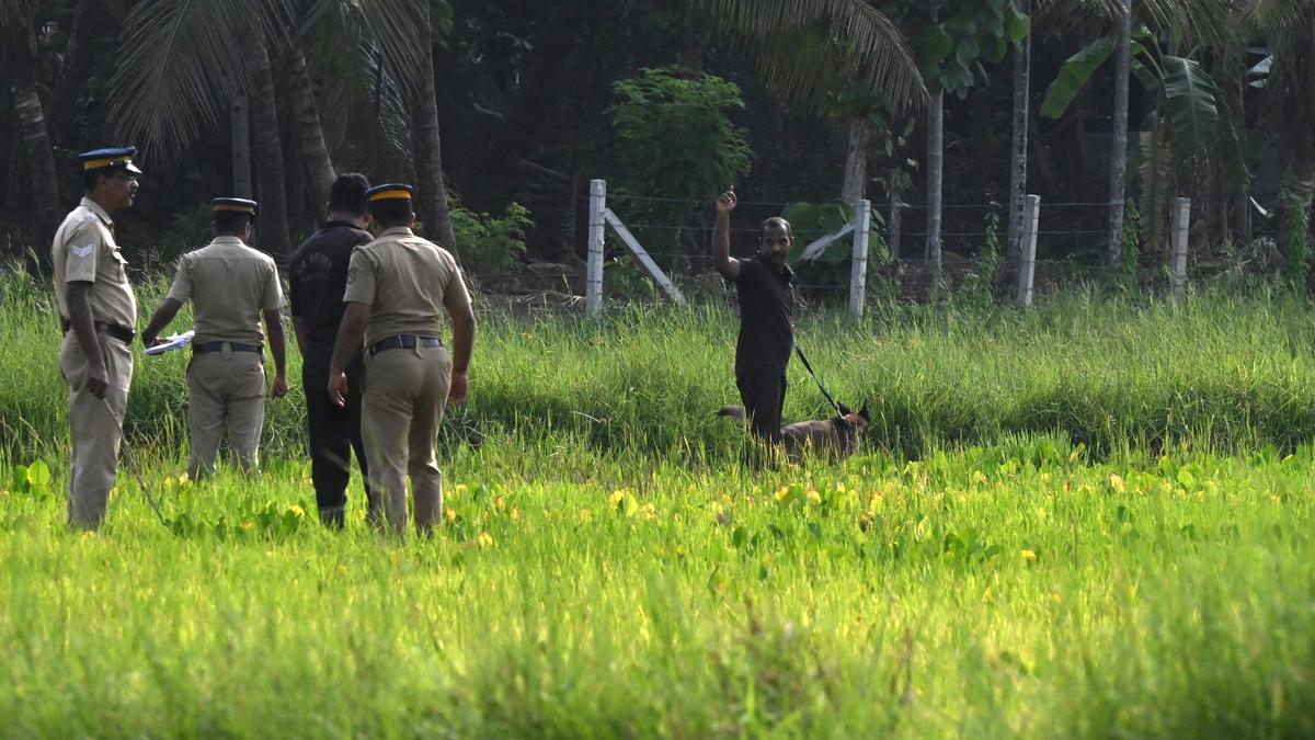 Kerala fireworks tragedy: The killing fields of Mundathikode