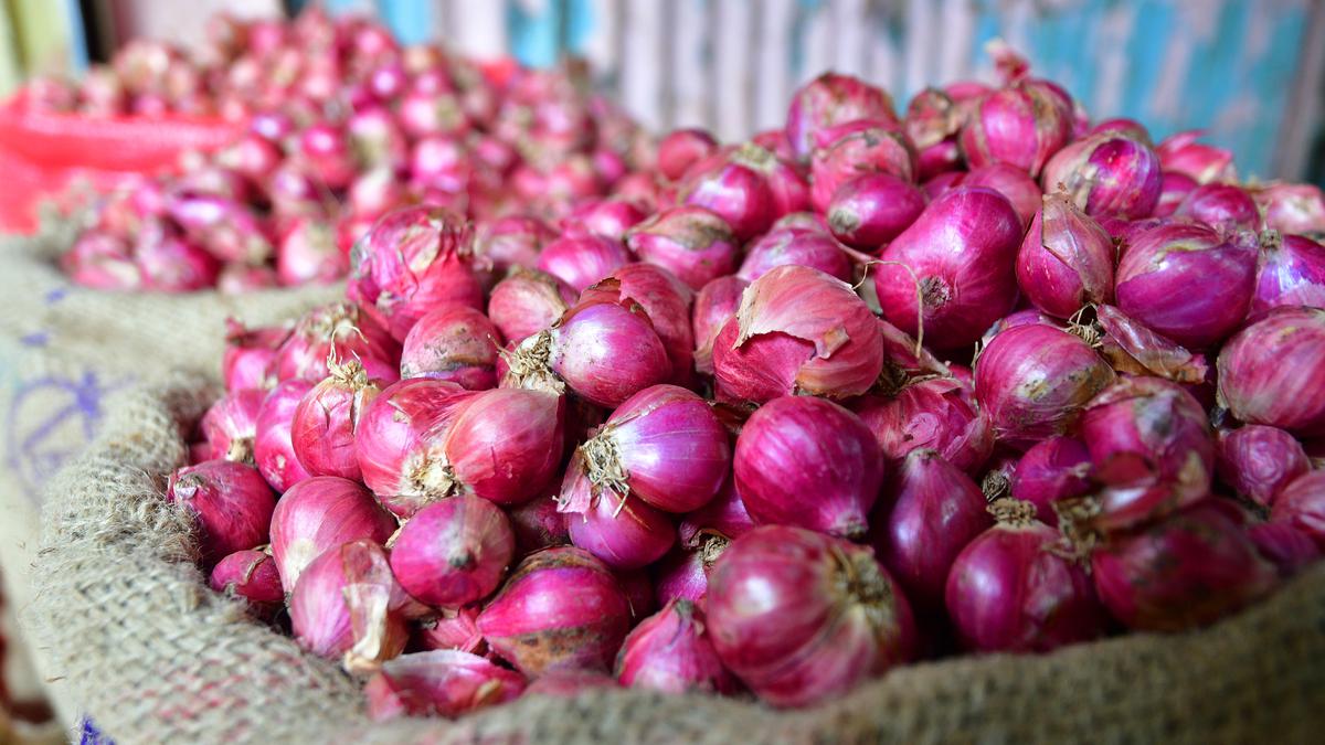 Drop in small onion prices in Coimbatore and Tiruppur districts affects farmers