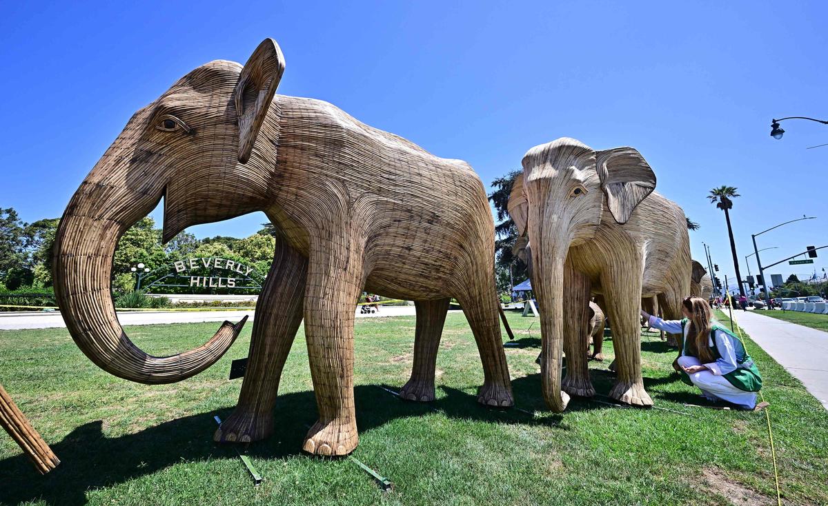 Elephant sculptures in Beverly Hills Elephant sculptures in Beverly Hills