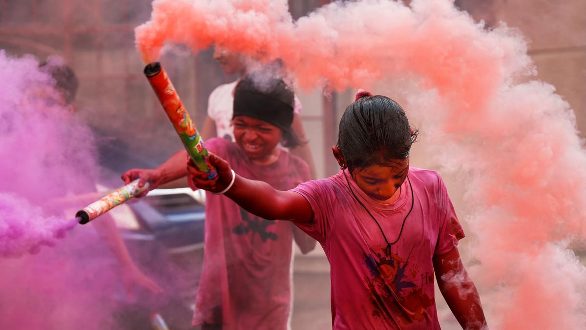 Animal activists and vets appeal for an animal-friendly Holi