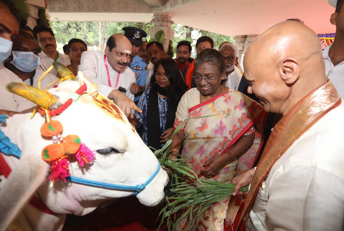 President Droupadi Murmu performs cow worship at TTD temple in Tirupati
