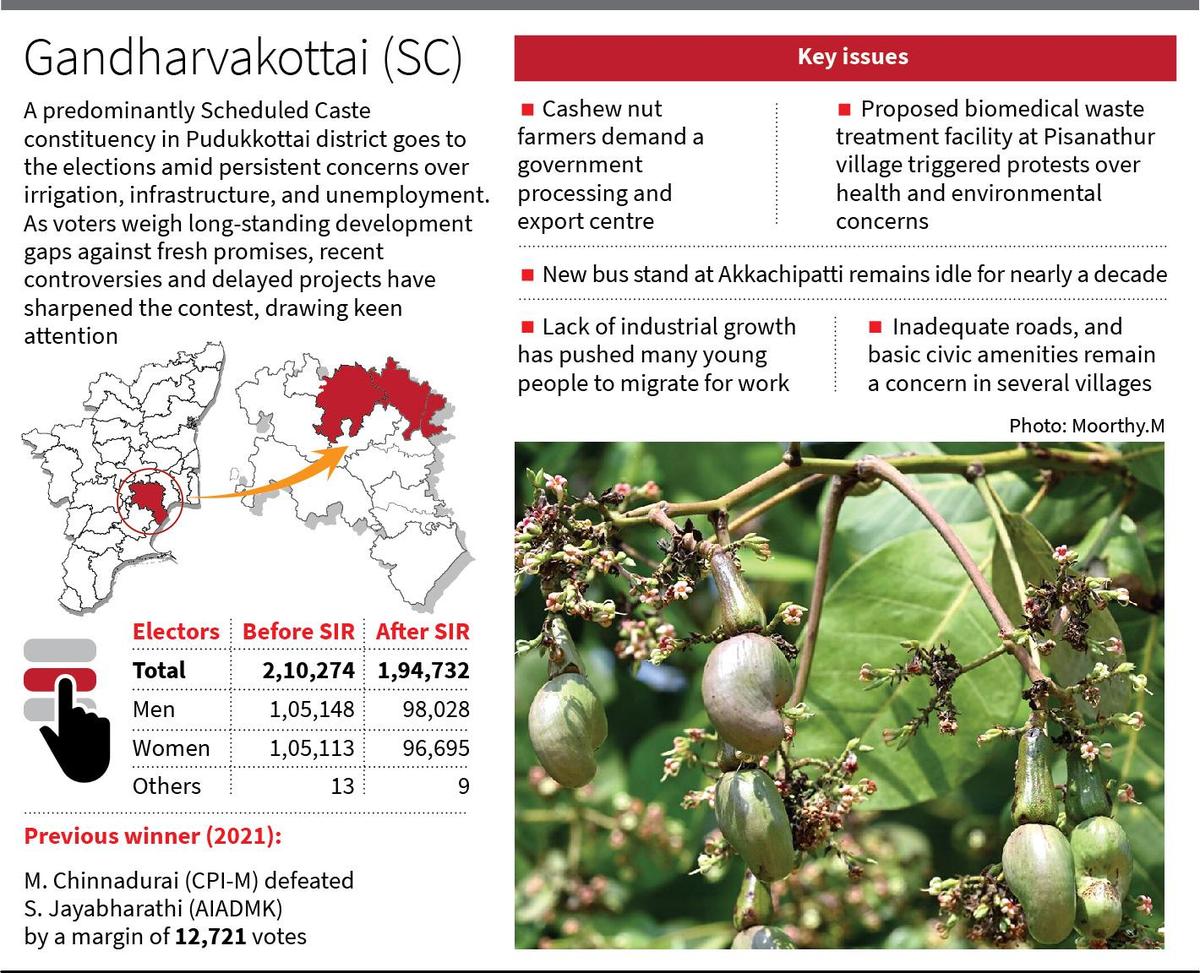 thehindu.com - Ancy Donal Madonna - CPI(M), BJP face-off in Gandharvakottai