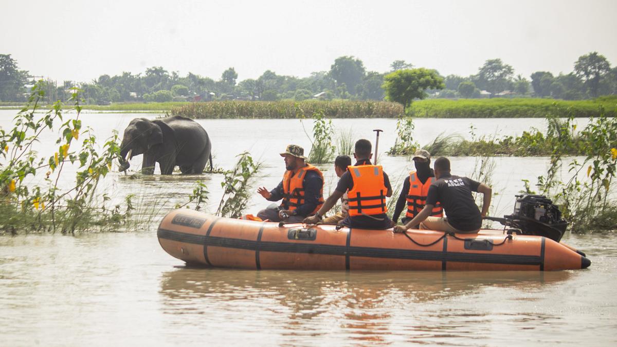 Assam flood situation improves marginally, 18.80 lakh still affected