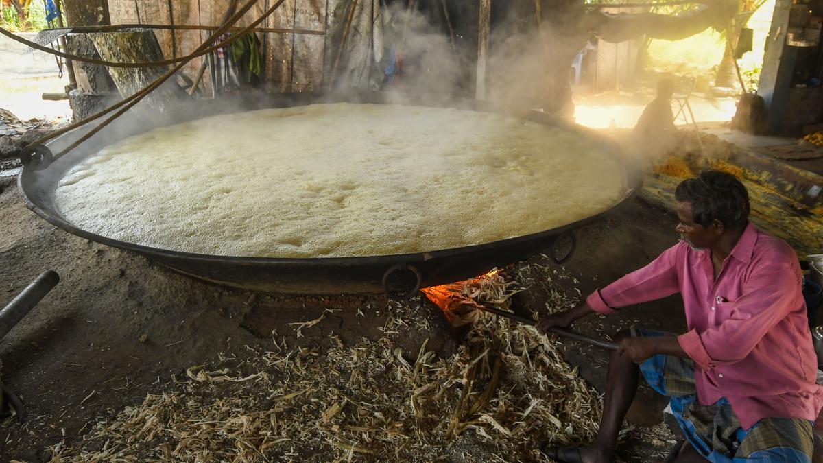 Jaggery production in full swing ahead of Pongal in Madurai