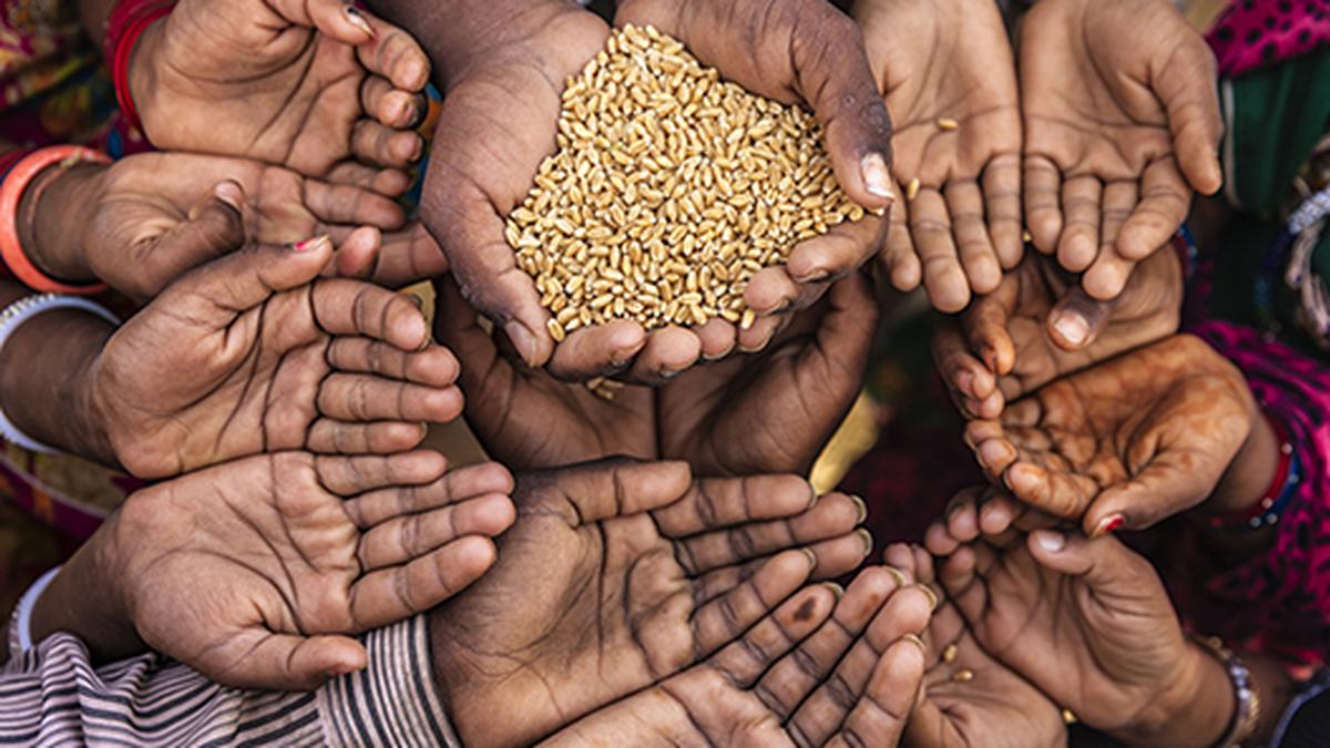 74,1% des Indiens n’ont pas les moyens de s’alimenter sainement : rapport de la FAO