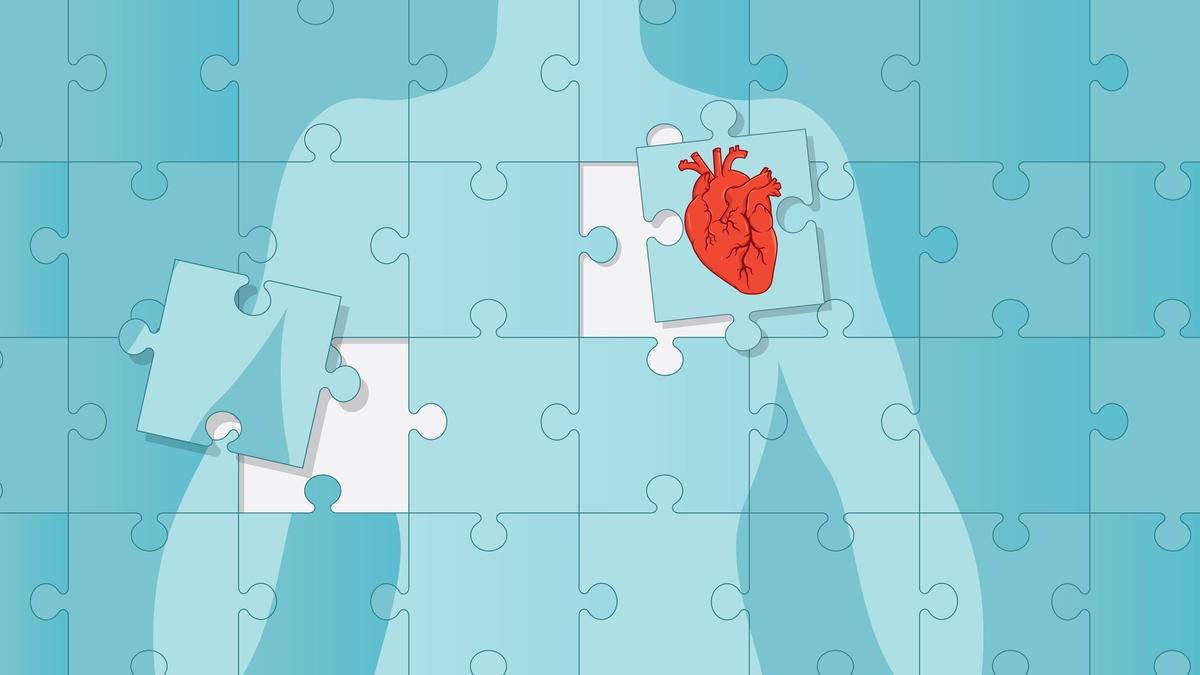 What are the legalities involved in organ transplants? | Explained