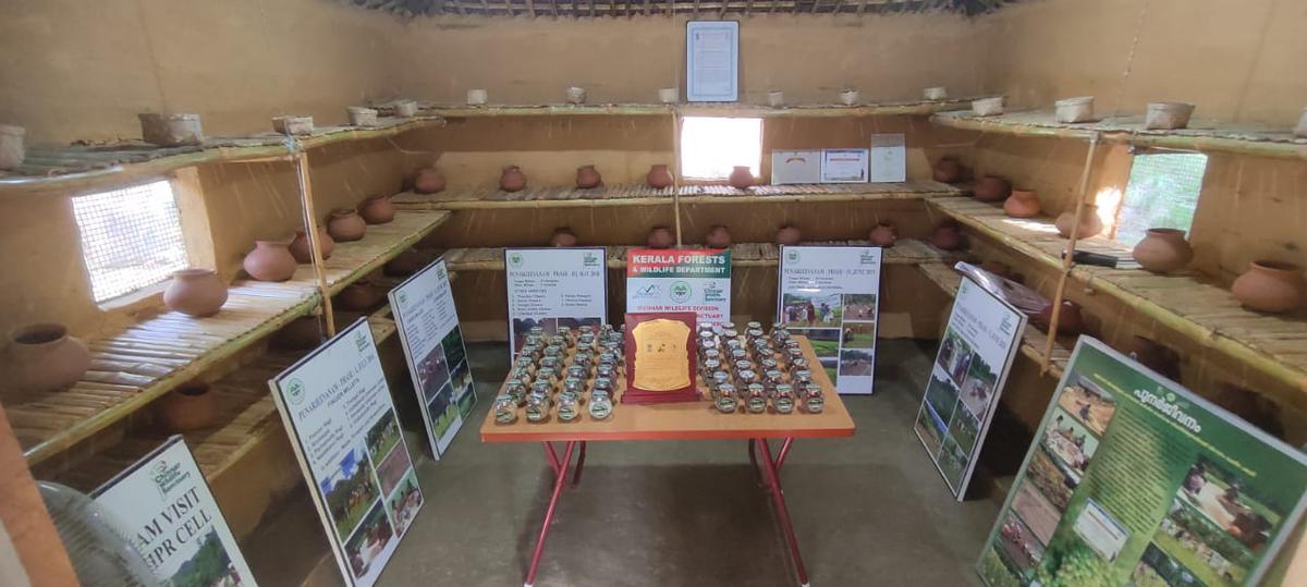 A view of seeds storage centre at Chinnar