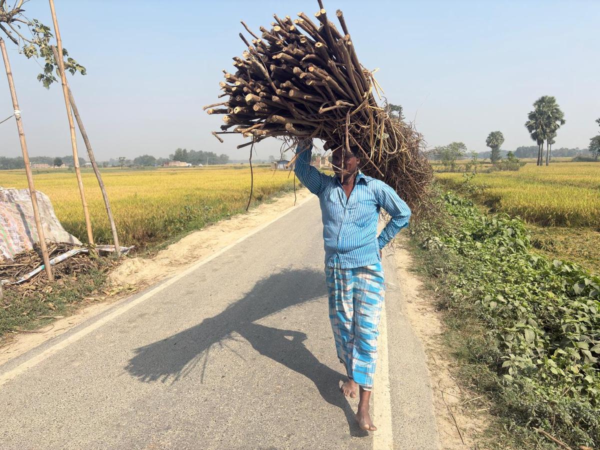 A man walks with wood on his head in Kasba assembly constituency in Seemanchal region. A man walks with wood on his head in Kasba assembly constituency in Seemanchal region.