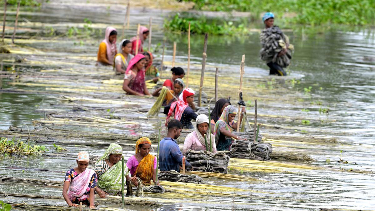 India’s growth claims, a clash with data reality