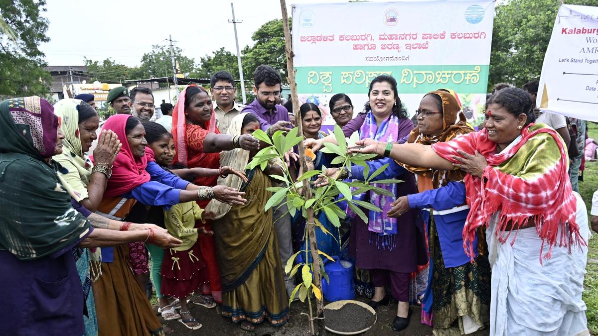 Kalaburagi aiming for greener future with mass sapling drive 