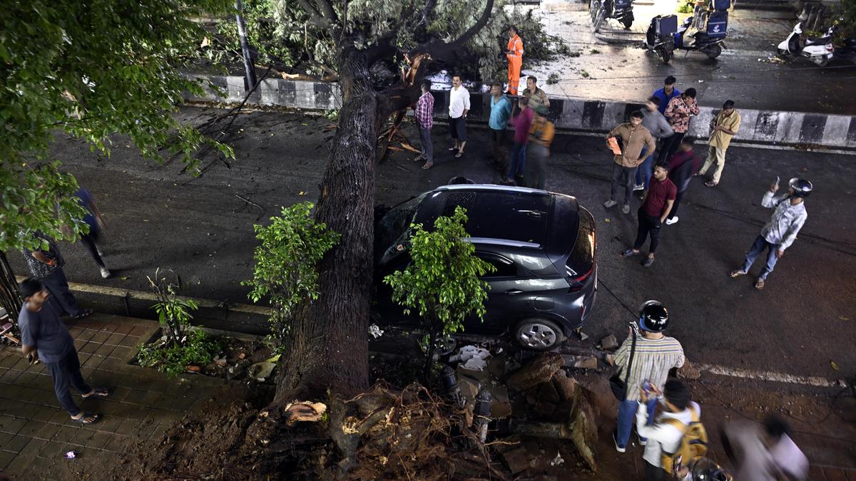 Bengaluru battered by rain and gusty winds; metro services delayed