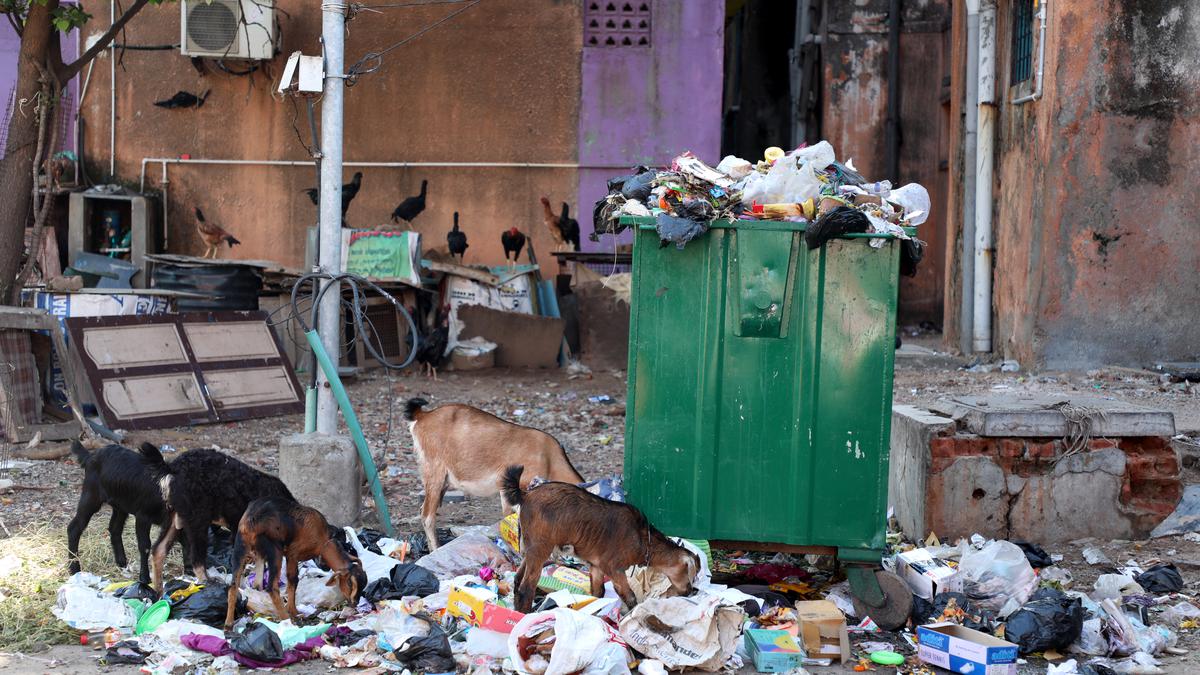 Solid waste management at Thiru. Vi. Ka. Nagar, Royapuram zones in Chennai to be privatised