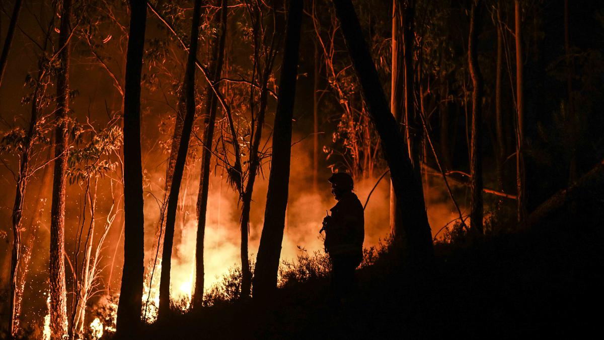 Portugal battles wildfires amid drought, heat; 29 injured