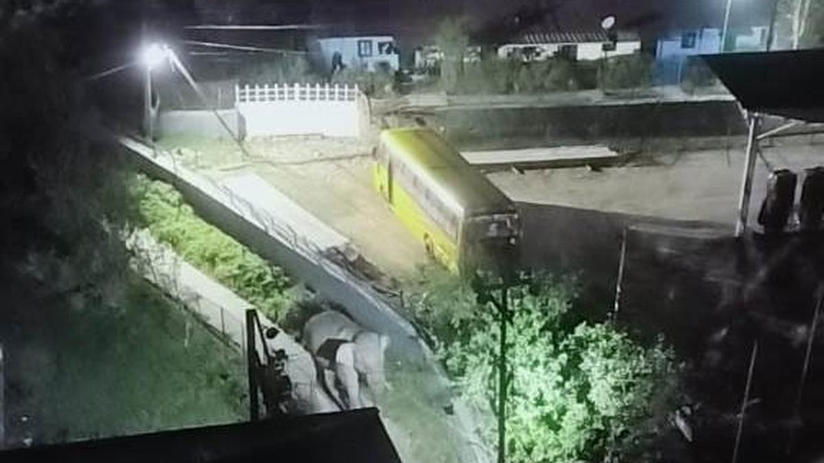 Wild elephant damages parked vehicle in Munnar town