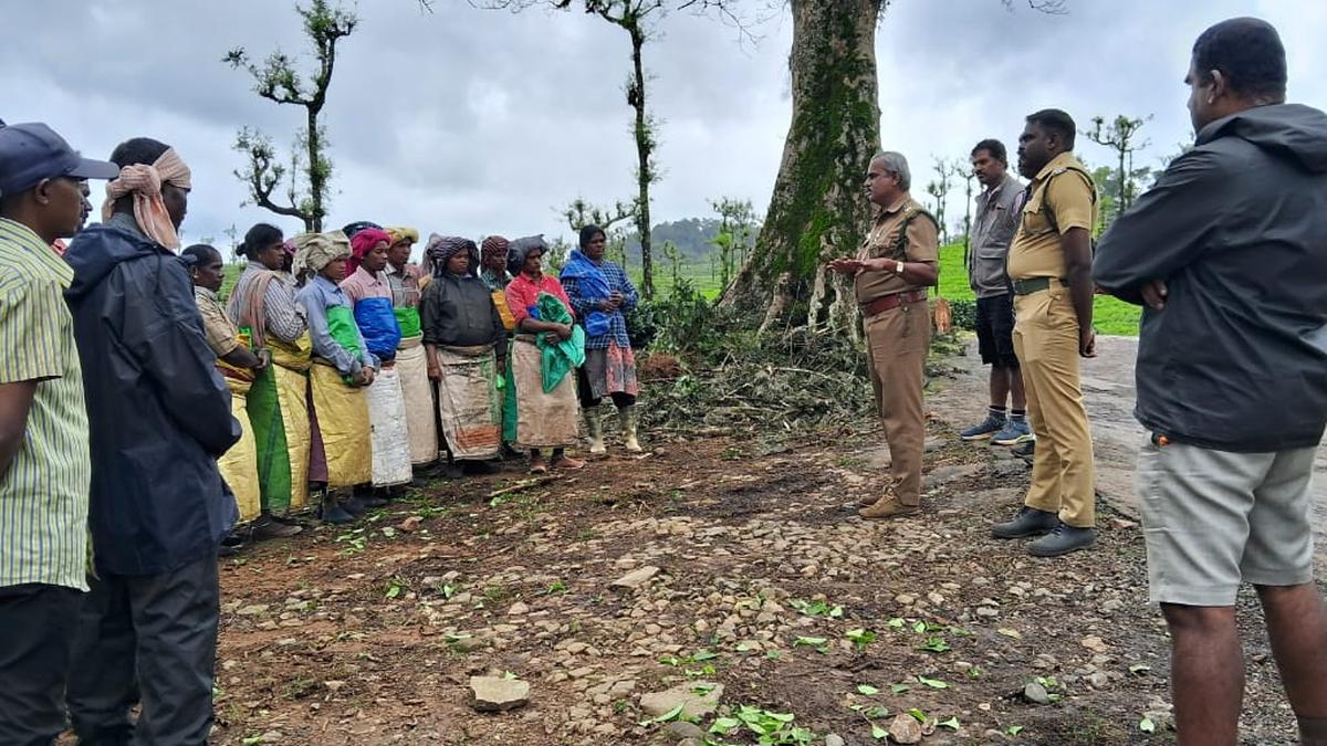 Estate workers, public sensitized as elephants start migrating to Valparai plateau