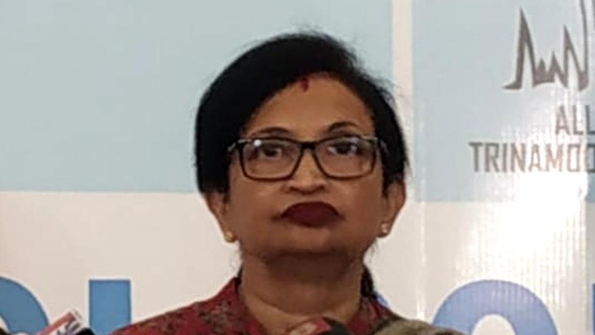 Concerns over SIR not heard, told SC will decide it: TMC after meeting with Election Commission