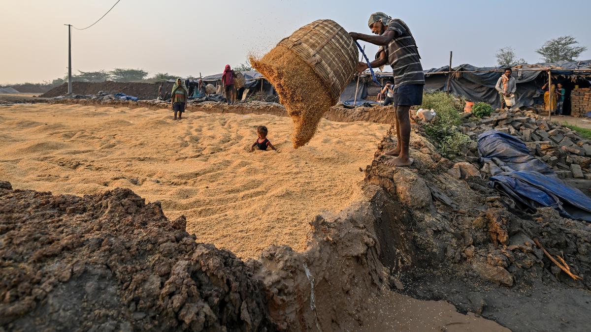 The Hindu’s News in Frames: Slow burning lives