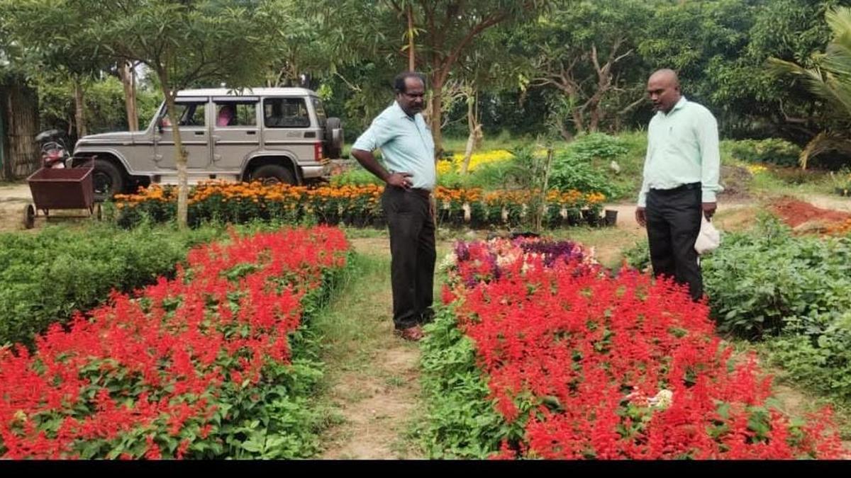 Flower show, carnival preparations under way in Karaikal