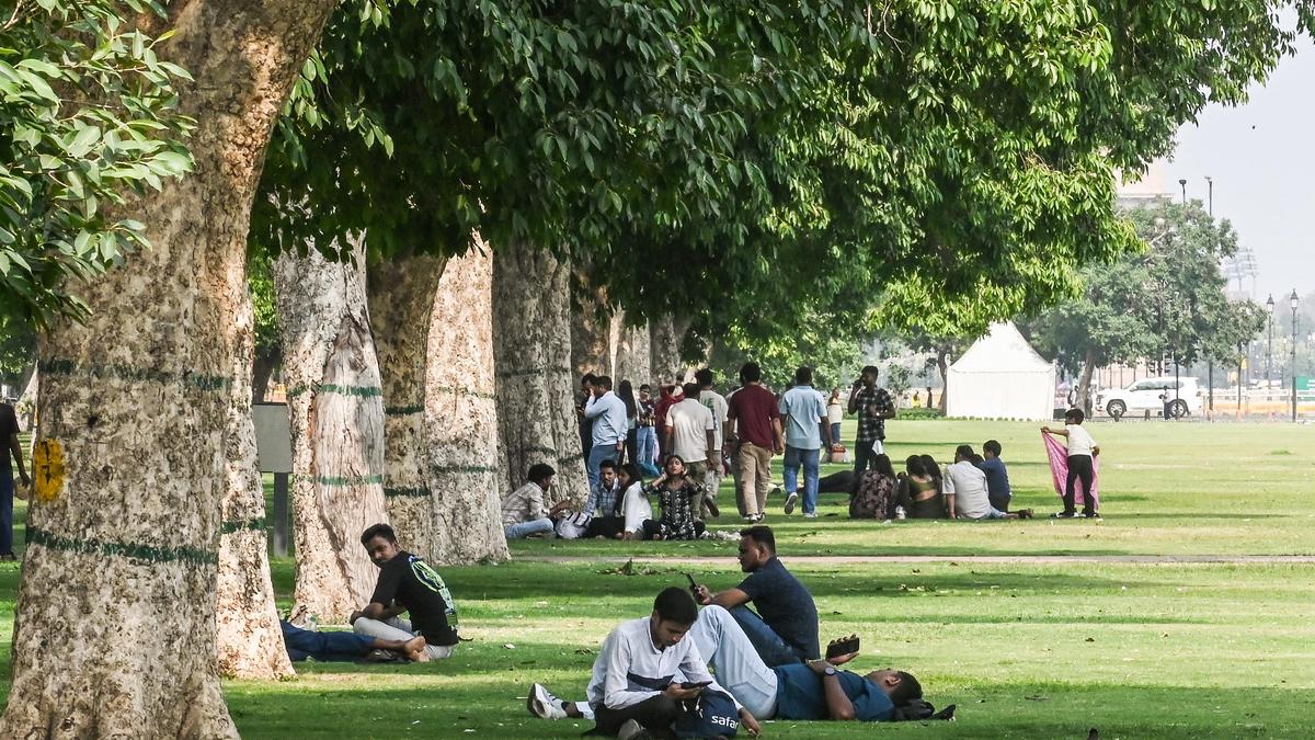 What measures are needed to address Delhi’s heat crisis? | Explained