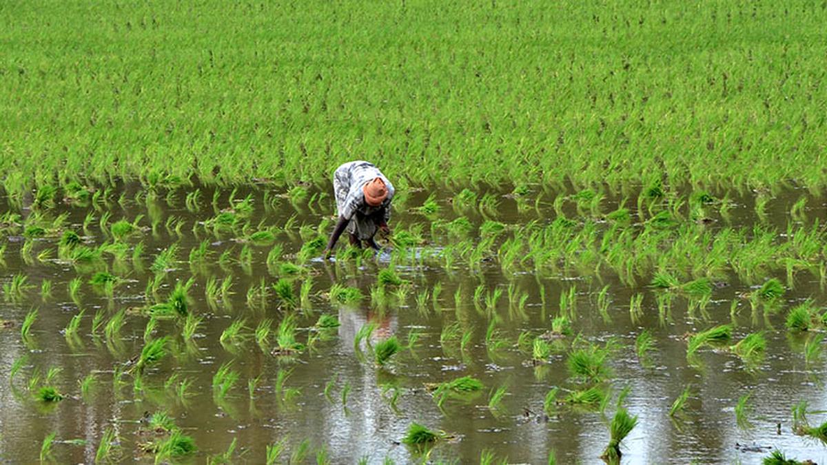 T.N. Assembly resolution in Cauvery issue | Farmers’ body in Tiruvarur hails move