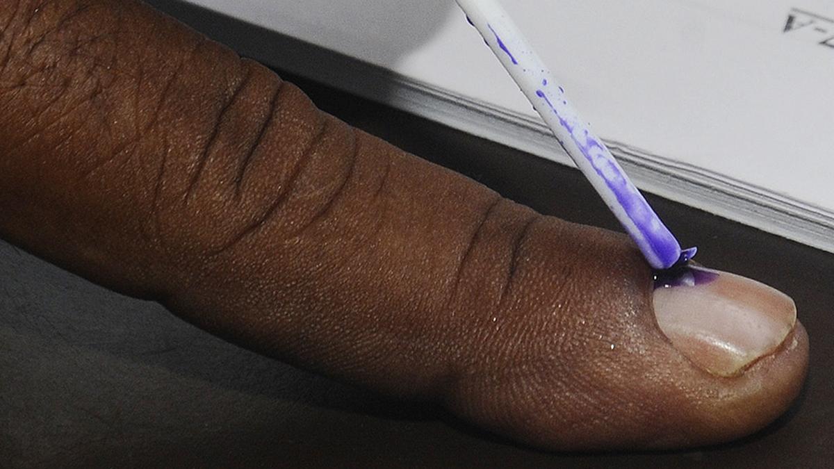 Tamil Nadu electorate grows by 4 lakh voters