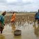 6508 28 5 2020 18 11 42 5 15 CYCLONEAMPHAN SUNDERBANS 26 05 2020COPY
