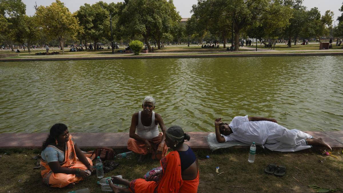 Delhi heatwave: The capital records warmest night in 55 years amid unrelenting heatwave