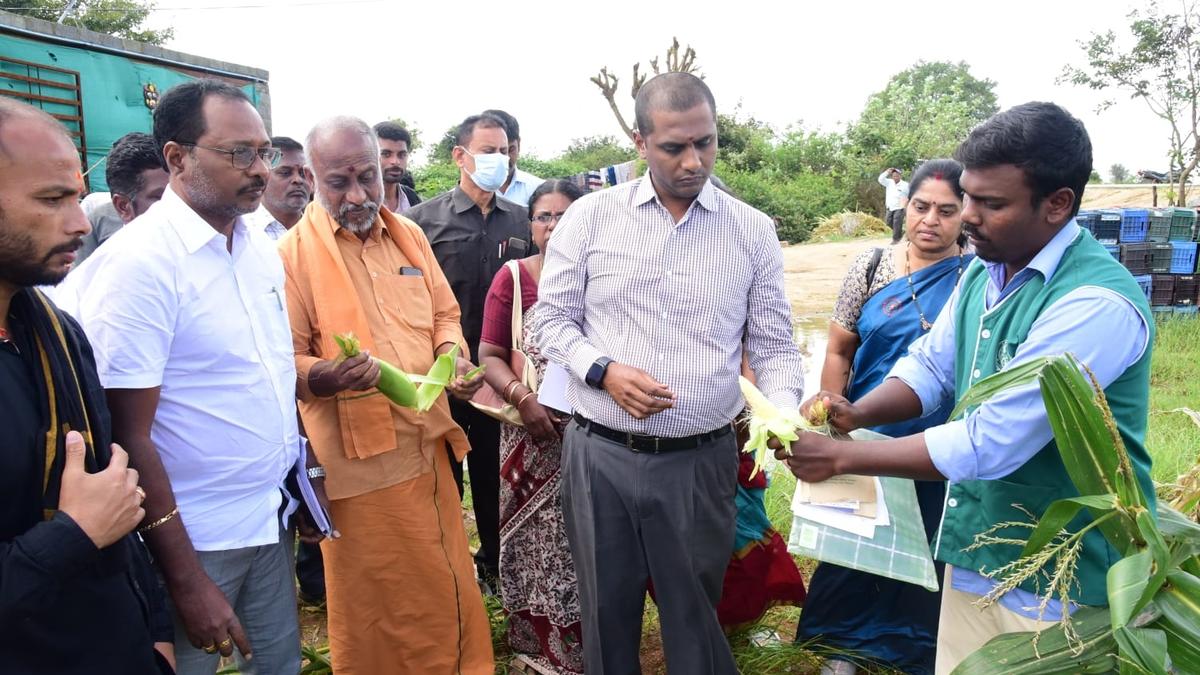 Steps are being taken to provide input subsidies to farmers affected by Cyclone Mandous, says ZP Chairman
