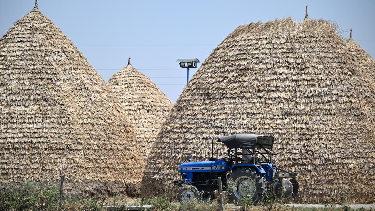 The grain drain in Uttar Pradesh