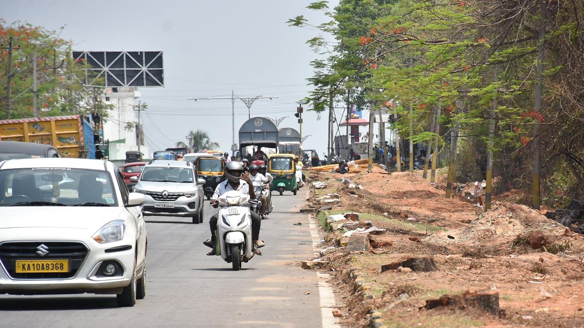 DC orders probe into axing of 40 trees in Mysuru, constitutes three-member committee