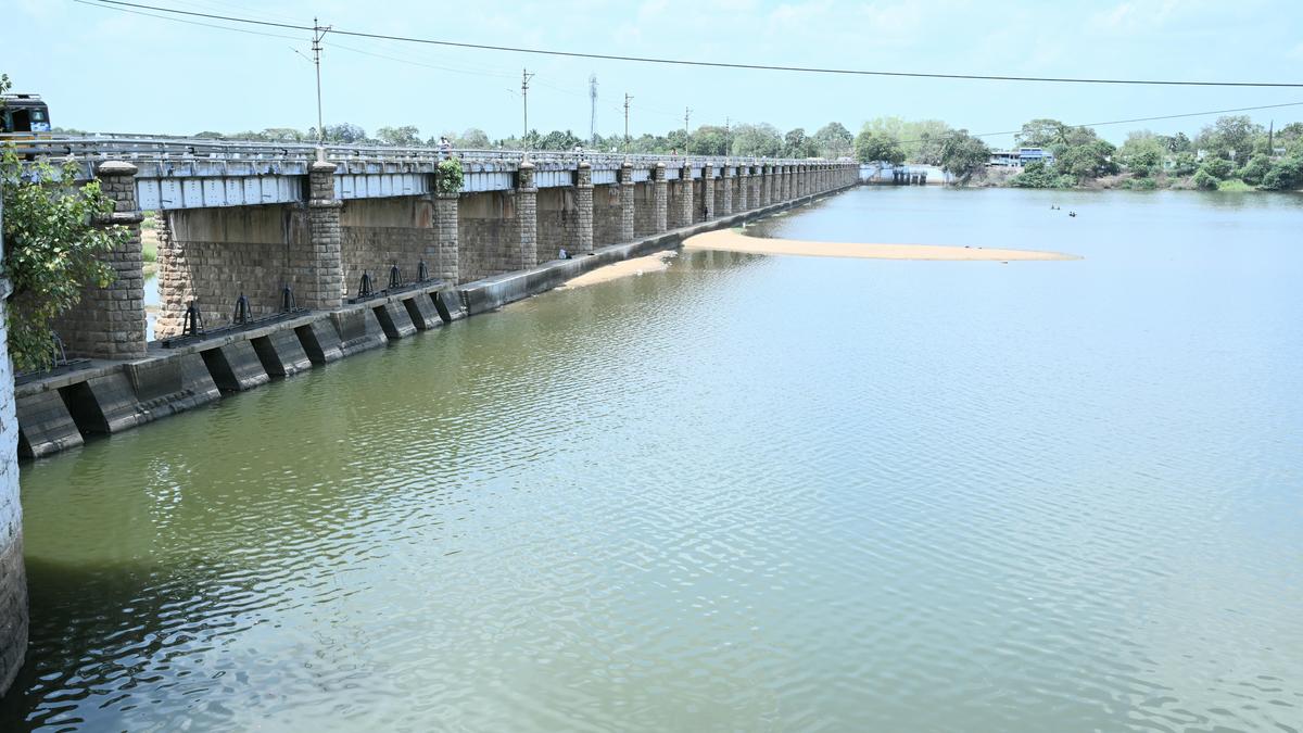 Tamil Nadu election 2026: Srivaikuntam constituency residents flag infrastructure woes, livelihood issues