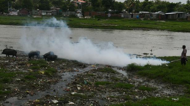 Japanese Encephalitis claimed 77 lives in Assam since July: National Health Mission