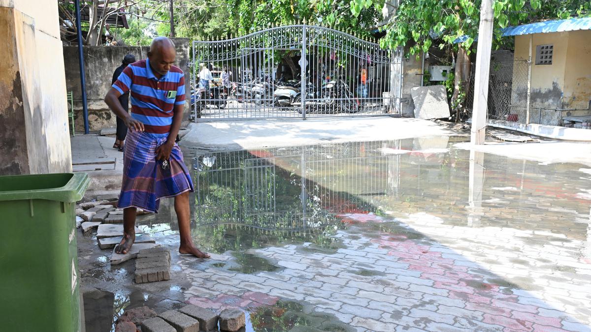 Sewage stagnation at Government Medical College and Hospital in Thoothukudi raises health concerns